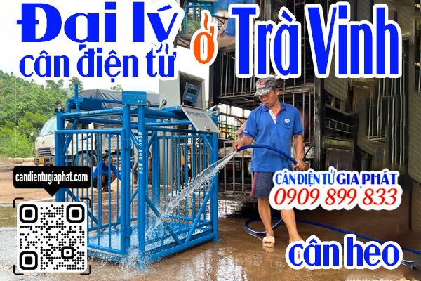Đại lý cân điện tử Trà Vinh - cân điện tử cân heo cảm biến trên 500kg 1 tấn 2 tấn