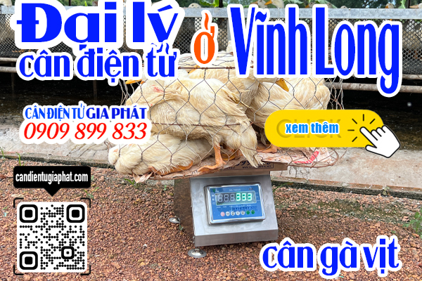 Đại lý cân điện tử Vĩnh Long - cân điện tử cân gà vịt 100kg 200kg 300kg 500kg