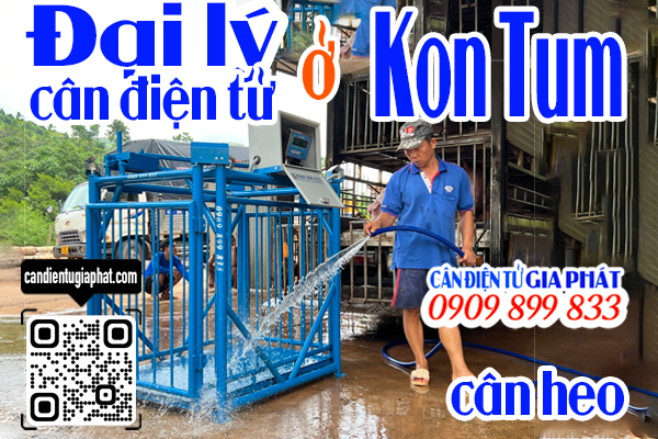 Đại lý cân điện tử Kon Tum - cân điện tử cân heo cảm biến trên 500kg 1 tấn 2 tấn