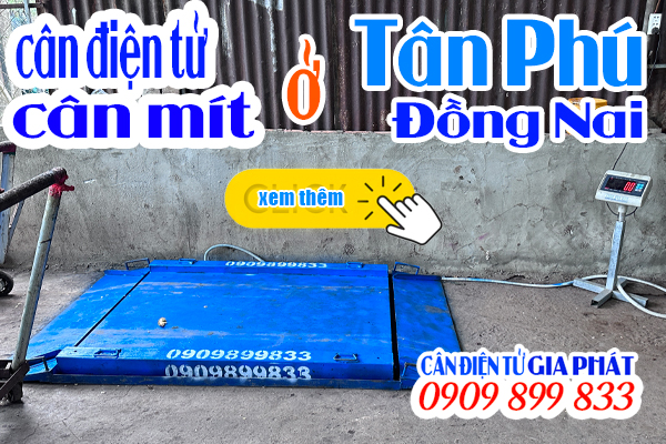 Cân mít điện tử 500kg 1 tấn ở Đồng Nai - CÂN ĐIỆN TỬ GIA PHÁT
