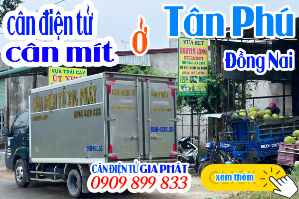 Cân điện tử cân mít 500kg 1 tấn ở Tân Phú Đồng Nai - CÂN ĐIỆN TỬ GIA PHÁT