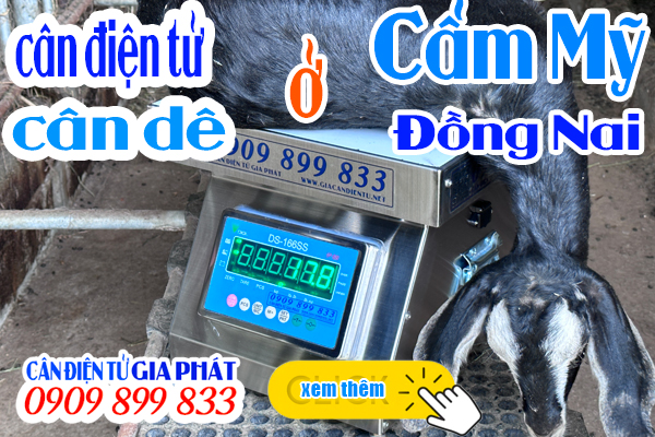 Cân điện tử cân dê DS-166SS 100kg 200kg 300kg 500kg ở Cẩm Mỹ Đồng Nai