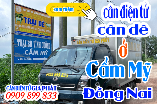 Cân điện tử ở Cẩm Mỹ Đồng Nai - CÂN ĐIỆN TỬ GIA PHÁT