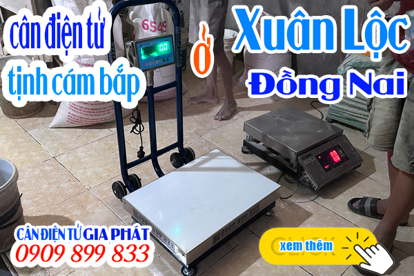 Cân điện tử ở Suối Cát Xuân Lộc Đồng Nai - CÂN ĐIỆN TỬ GIA PHÁT