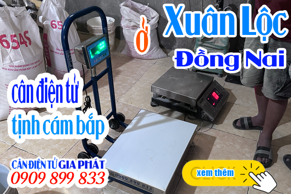Cân điện tử Đồng Nai - cân tịnh bao cám bắp 25kg 50kg - CÂN ĐIỆN TỬ GIA PHÁT