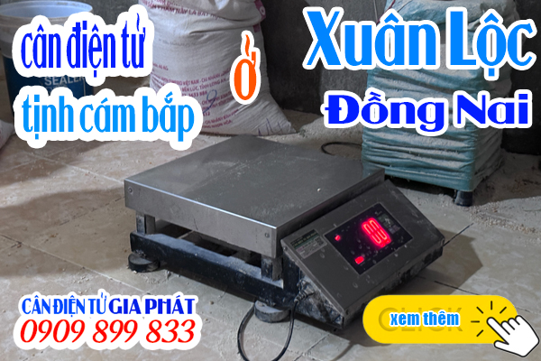 Cân điện tử tịnh bao XK3190-T7E 300kg - CÂN ĐIỆN TỬ GIA PHÁT