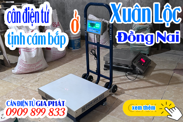 Cân điện tử DS-166SS 300kg 500kg tịnh bao cám bắp ở Đồng Nai