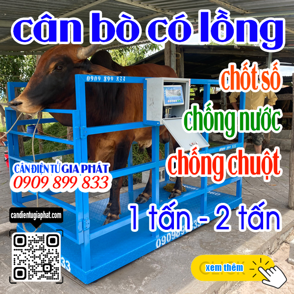 Cân điện tử cân bò Ds-166ss 1 tấn 2 tấn - CÂN ĐIỆN TỬ GIA PHÁT
