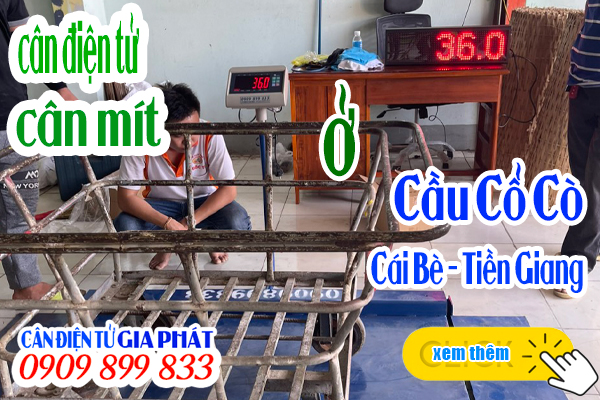 Cân điện tử cân mít T7E 1 tấn có dốc ở Cầu Cổ Cò Cái Bè Tiền Giang