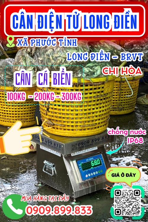 Cân điện tử ở Phước Tỉnh Long Điền BRVT - cân cá biển