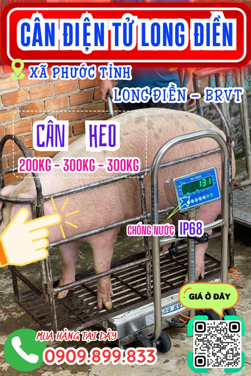 Cân điện tử ở Phước Tỉnh Long Điền BRVT - cân heo