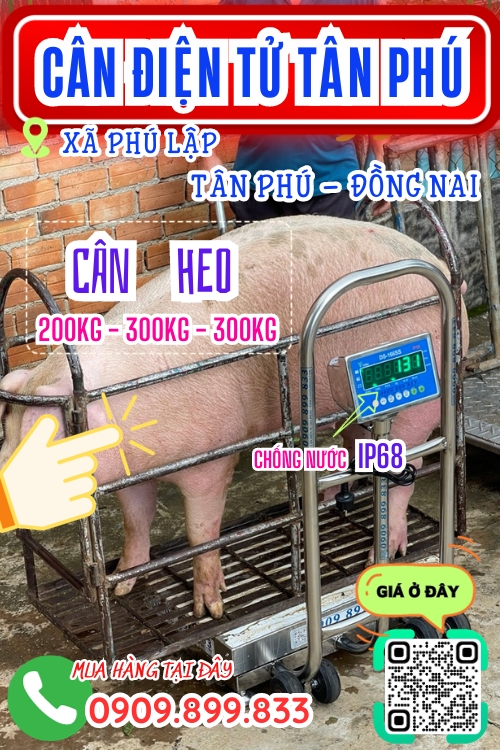 Cân điện tử ở Phú Lập Tân Phú Đồng Nai - cân heo 