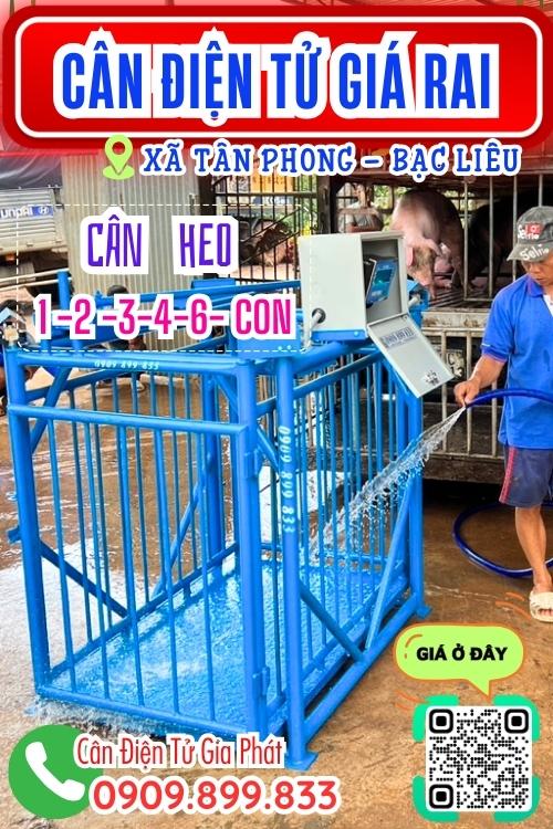 Cân điện tử ở Tân Phong Giá Rai Bạc Liêu - cân heo cảm biến trên