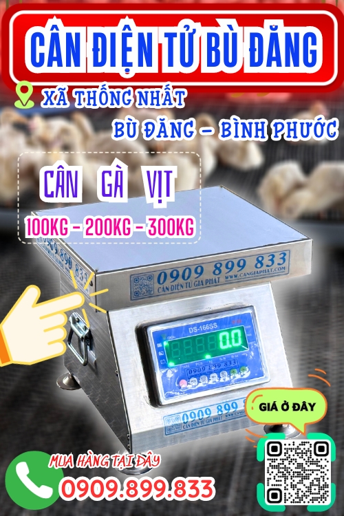 Cân điện tử ở Thống Nhất Bù Đăng - cân gà vịt