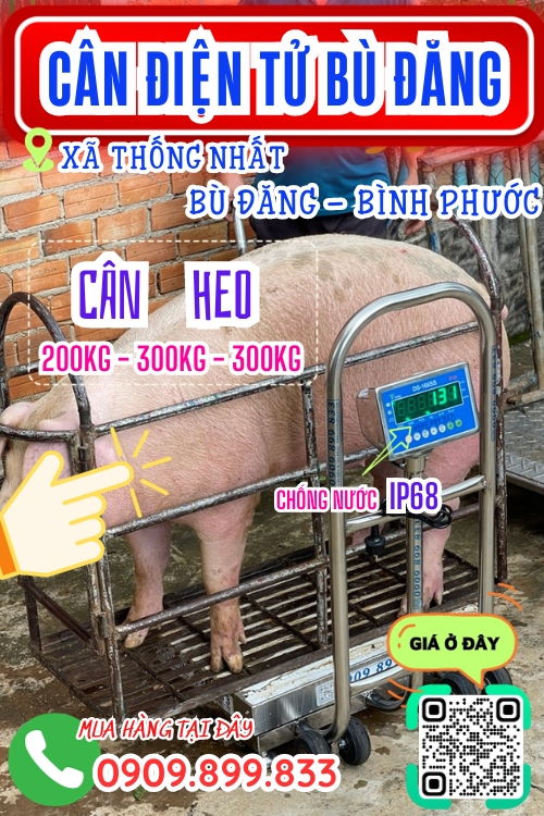 Cân điện tử ở Thống Nhất Bù Đăng Bình Phước - cân heo điện tử