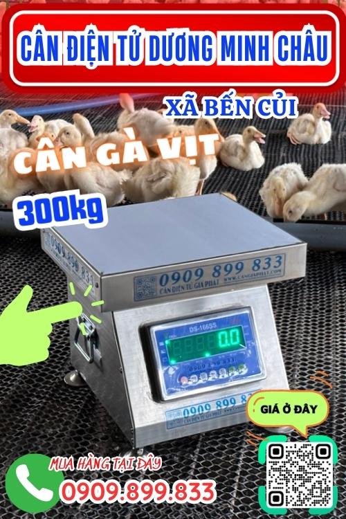 Cân điện tử ở Bến Củi Dương Minh Châu Tây Ninh - cân gà vịt