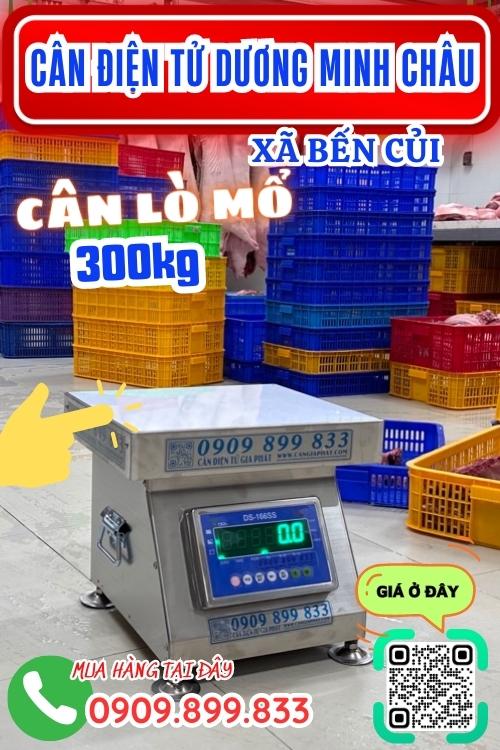 Cân điện tử ở Bến Củi Dương Minh Châu Tây Ninh - cân lò mổ