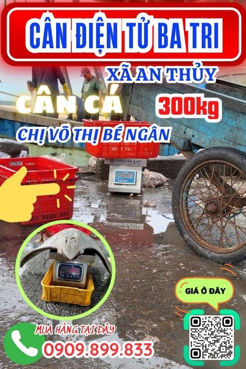 Cân điện tử An Thủy Ba Tri Bến Tre - cân cá