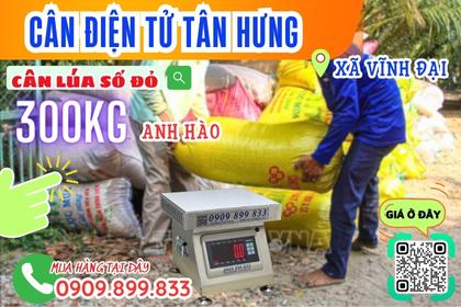 Cân điện tử ở Vĩnh Đại - Tân Hưng