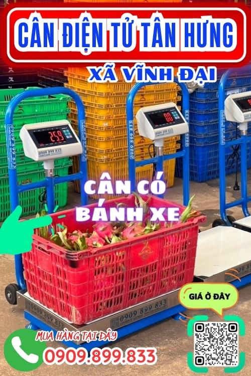 Cân điện tử ở Vĩnh Đại Tân Hưng Long An - cân có bánh xe 