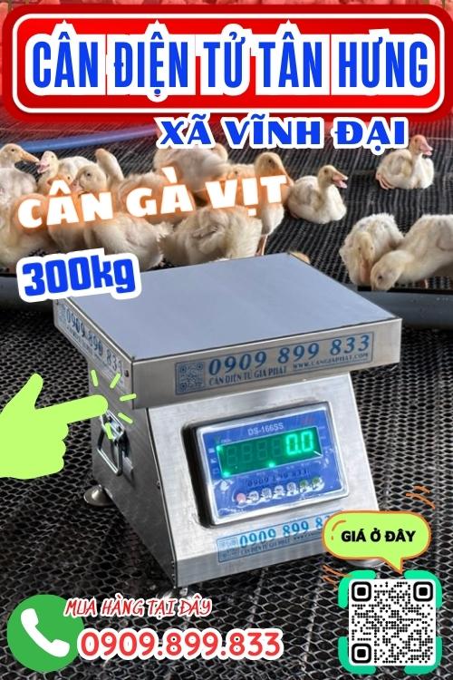 Cân điện tử ở Vĩnh Đại Tân Hưng Long An - cân gà vịt