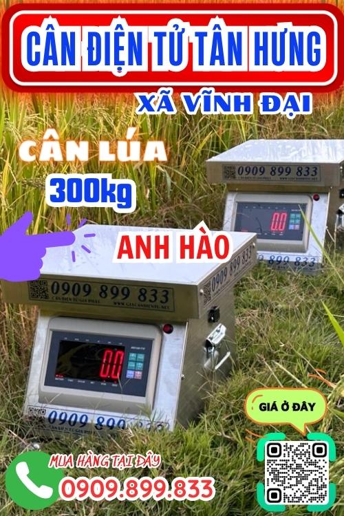 Cân điện tử ở Vĩnh Đại Tân Hưng Long An - cân lúa 