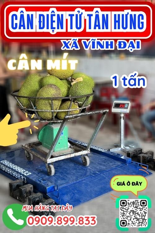 Cân điện tử ở Vĩnh Đại Tân Hưng Long An - cân mít