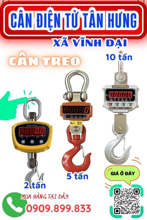 Cân điện tử ở Vĩnh Đại Tân Hưng Long An - cân treo