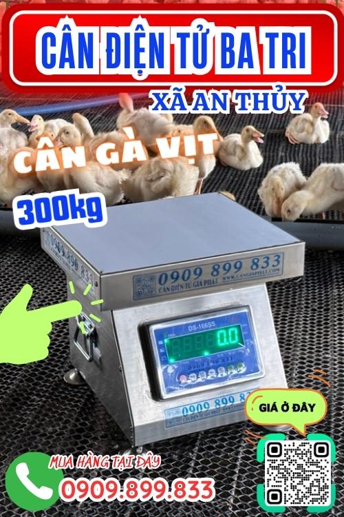 Cân điện tử ở An Thủy Ba Tri Bến Tre - cân gà vịt