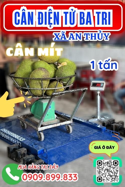 Cân điện tử ở An Thủy Ba Tri Bến Tre - cân mít