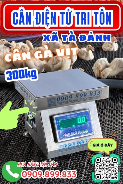Cân điện tử ở Tà Đảnh Tri Tôn An Giang - cân gà vịt