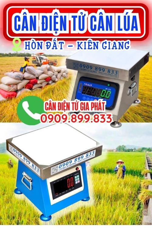 Cân điện tử cân lúa 100kg 200kg 300kg ở Hòn Đất Kiên Giang