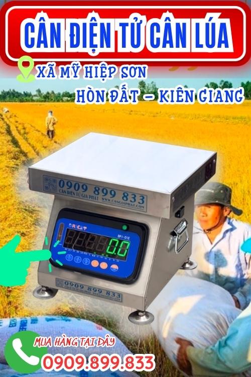 Cân điện tử cân lúa 100kg 200kg 300kg Hòn Đất Kiên Giang