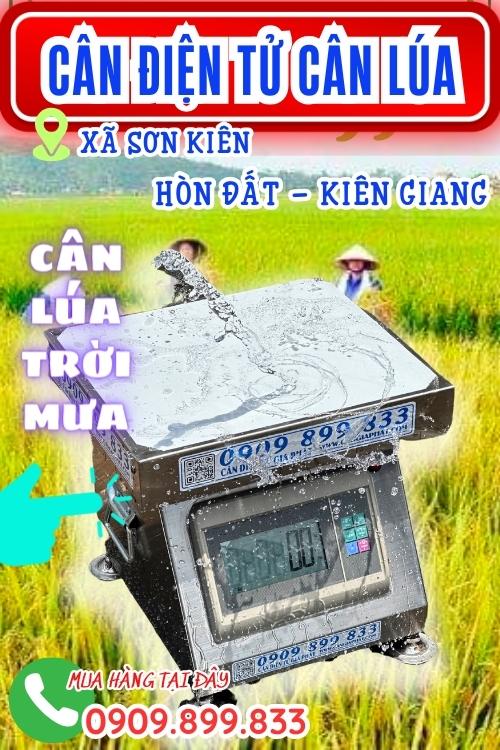 Cân điện tử cân lúa 100kg 200kg 300kg Hòn Đất Kiên Giang