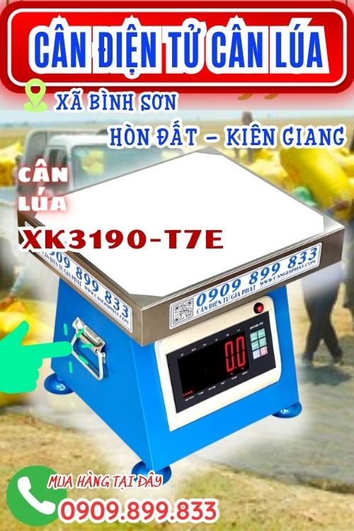 Cân điện tử cân lúa 100kg 200kg 300kg Hòn Đất Kiên Giang
