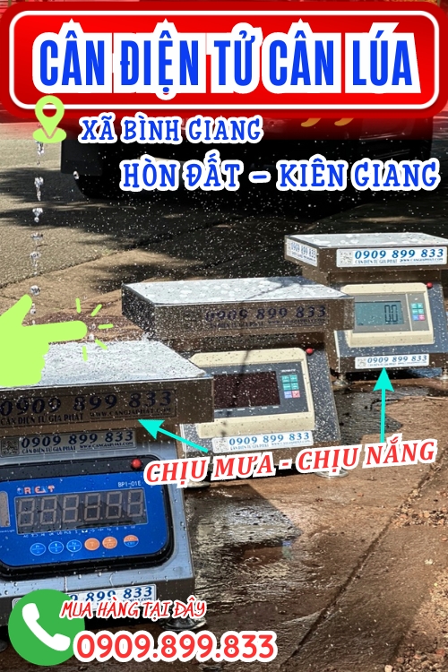 Cân điện tử cân lúa 100kg 200kg 300kg ở Hòn Đất Kiên Giang
