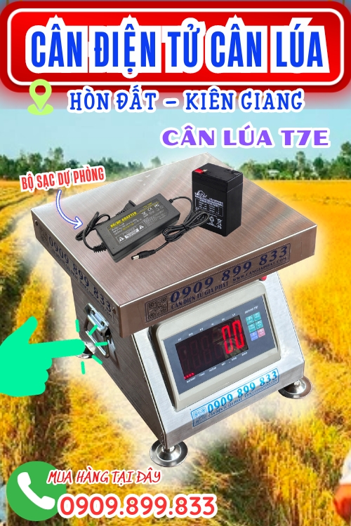 Cân điện tử cân lúa 100kg 200kg 300kg ở Hòn Đất Kiên Giang