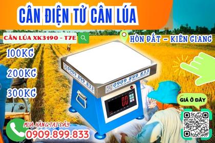 CÂN ĐIỆN TỬ CÂN LÚA 100KG 200KG 300KG Ở HÒN ĐẤT KIÊN GIANG