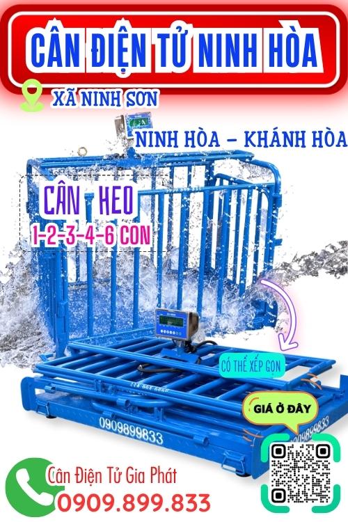 Cân điện tử Ninh Sơn Ninh Hòa Khánh Hòa - cân heo cảm biến trên