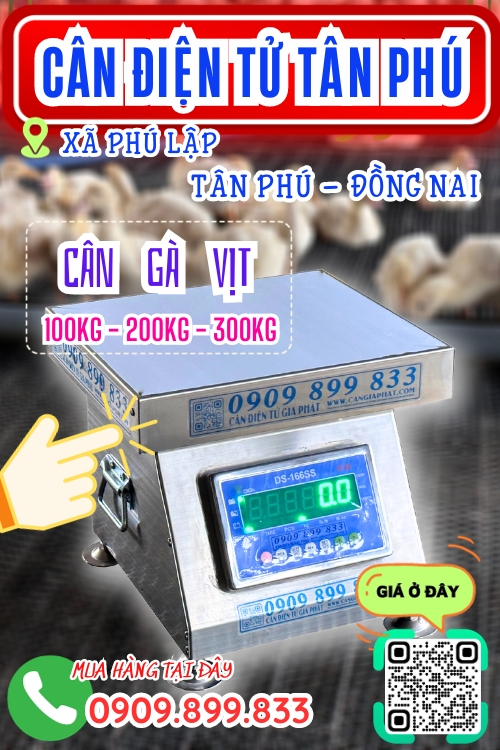 Cân điện tử ở Phú Lập Tân Phú Đồng Nai - cân gà vịt