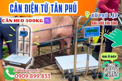 Cân điện tử ở Phú Lập - Tân Phú