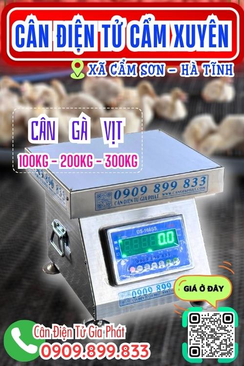 Cân điện tử ở Cẩm Sơn Cẩm Xuyên Hà Tĩnh - cân gà vịt
