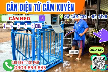 Cân cân điện tử cân heo 1-2-3-4-6 con ở Cẩm Sơn - Cẩm Xuyên