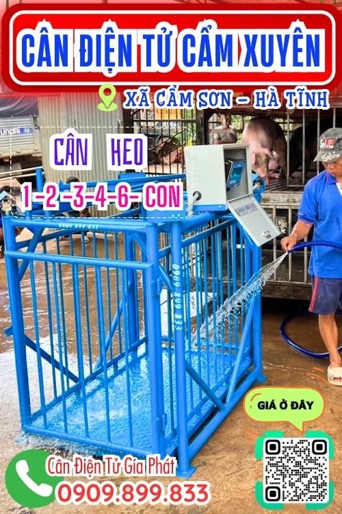 Cân điện tử ở Cẩm Sơn Cẩm Xuyên Hà Tĩnh - cân heo cảm biến trên