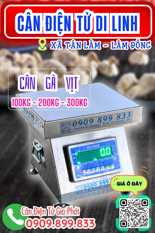 Cân điện tử ở Tân Lâm Di Linh Lâm Đồng - cân bàn điện tử