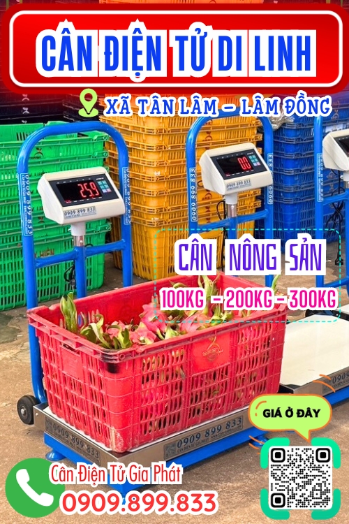 Cân điện tử ở Tân Lâm Di Linh Lâm Đồng - cân nông sản