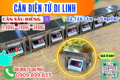 Cân điện tử cân sầu riêng 100kg 200kg 300kg ở Tân Lâm - Di Linh