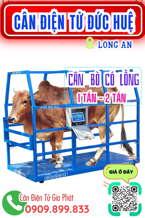 Cân điện tử ở Đức Huệ Long An - cân bò có lồng