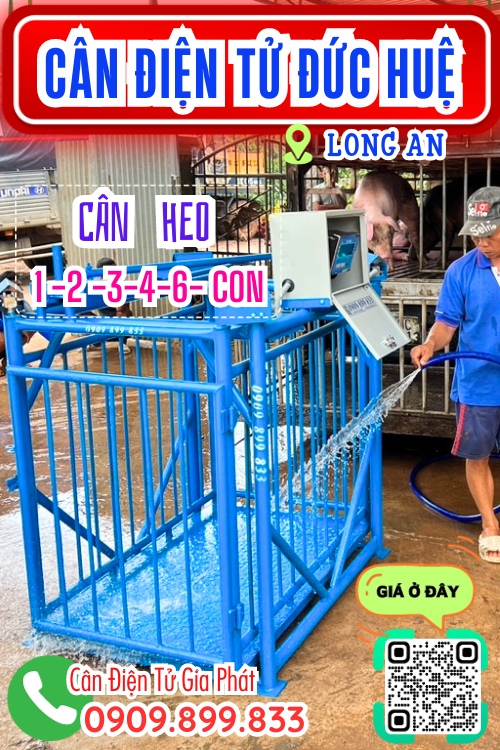 Cân điện tử Đức Huệ Long An - cân heo cảm biến trên