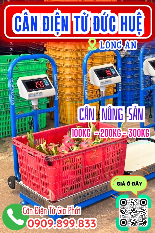 Cân điện tử ở Đức Hòa Long An - cân thanh long 